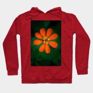 Orange Clavelon - Flower Photography Hoodie